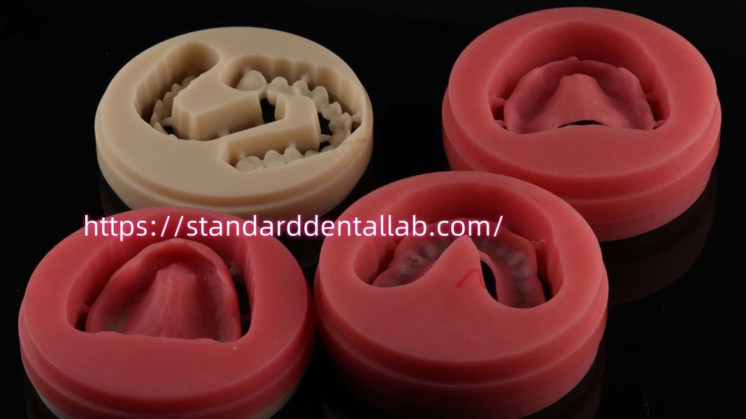 Standard Dental Lab Co., Limited lini produksi pabrikan