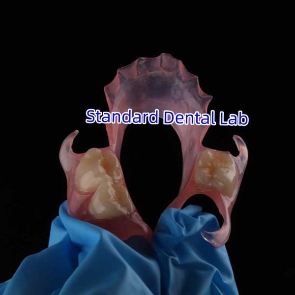 Standard Dental Lab Co., Limited lini produksi pabrikan