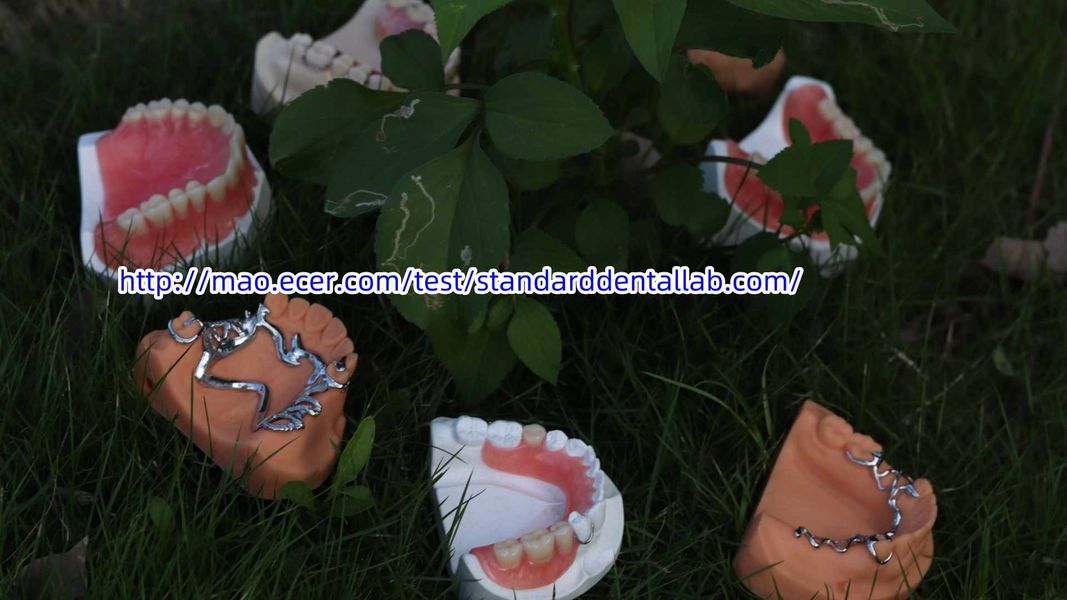 Standard Dental Lab Co., Limited lini produksi pabrikan