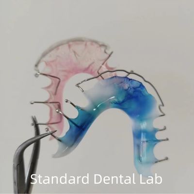 Beli Hawley Wrap Around Orthodontic Retainer Dental Acrylic Palate pembuatan online