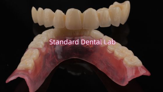 Beli Porselen berlapis yang sangat tahan lama dan terlihat alami untuk gigi berlapis Zirconia Crown China Dental Lab pembuatan online