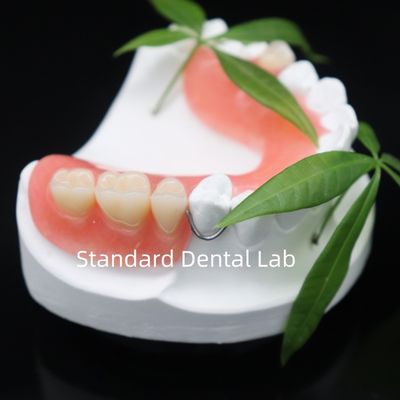 Beli Tinggi Estetika Dentsply Lucitone 199 Acrylic Denture resin akrilik untuk gigi palsu China Dental lab pembuatan online