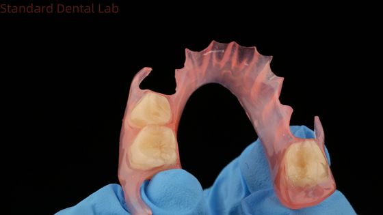 Beli 3D Print Model Dental TCS Valplast Fleksibel Parsial Dentures Warna Pink / Dark Dental Lab Product pembuatan online
