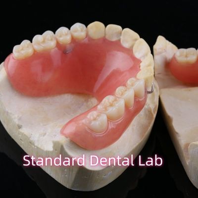 Dental resin gigi gigi dengan dasar