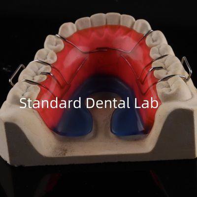 Gigi Ortodontik Palate Expander Ruang Stabil Dental Arch Expander Good Fit