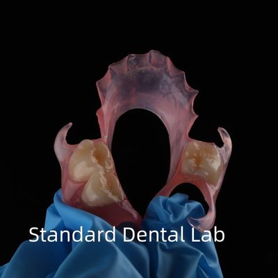 Estetika Tinggi Gigi TCS Valplast Fleksibel Parsial Gigi Gigi Lab Gigi warna merah muda