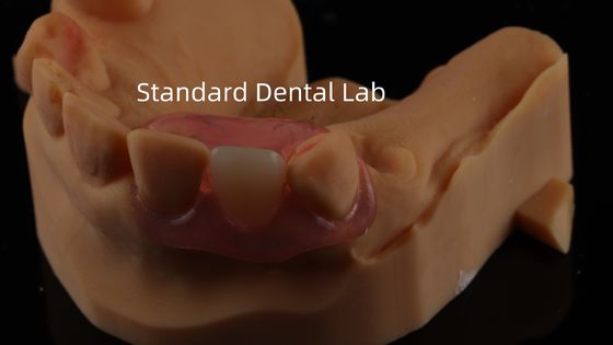 Dental TCS Valplast Fleksibel Parsial Gigi Nesbit Valplast Finish Cina Dental Lab Valplast Clamp