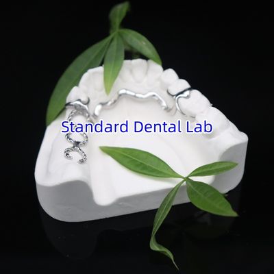 Vitallium 2000 rangka parsial ISO CE dan FDA China laboratorium gigi rangka logam