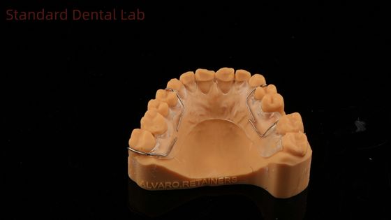 Perfect Fit Jerman Ortho Teeth Halley Retainer untuk Estetika dan Adjustability Clear Shade SDL Dental Lab