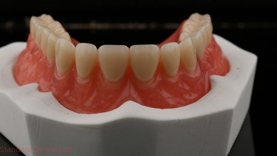 Dentsply Lucitone 199 Gigi akrilik untuk tampilan alami full arch