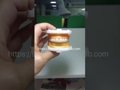 Estatis Tinggi BruxZir Full Contour Zirconia Mahkota Jembatan PFZ