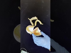 Dentsply Lucitone 199 Gigi akrilik untuk tampilan alami full arch