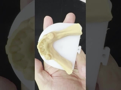 Paduan Logam Bagian Kobalt Kromium Gigi Ivoclar Scheftner Frame Metal Nyaman