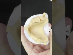 Paduan Logam Bagian Kobalt Kromium Gigi Ivoclar Scheftner Frame Metal Nyaman